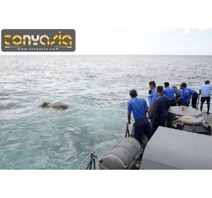 Setelah Terseret Arus Sejauh 15 Km Gajah ini Berhasil Diselamatkan | Judi Online Indonesia